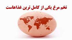 تخم مرغ یکی از کامل ترین غذاهاست...
